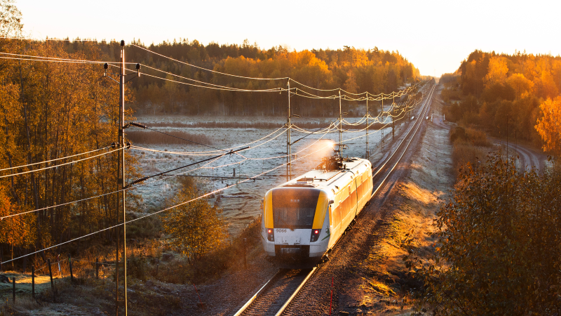 Ett tåg som åker i höstlandskap.