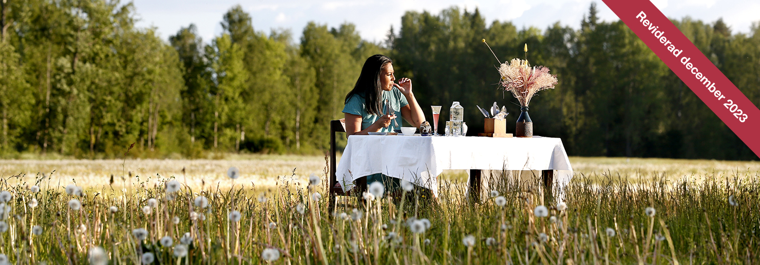 Rapportmall bild