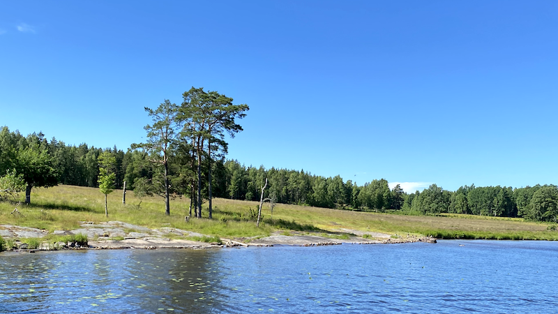 Foto på Jäverön från vattnet.