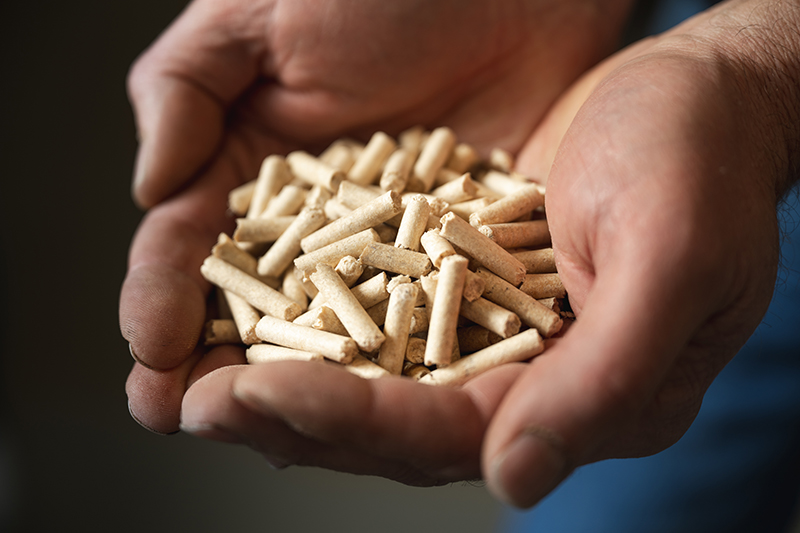 Pro2BE Leads the Way Toward a Bio-Based Future