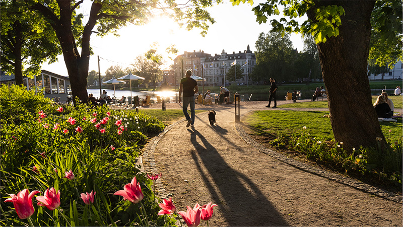 Regionplan och budget 2027 med flerårsplan 2028–2029