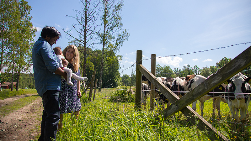 Folkhälsan i Värmlands kommuner