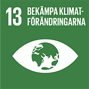 Globala mål 13: Bekämpa klimatförändringarna.