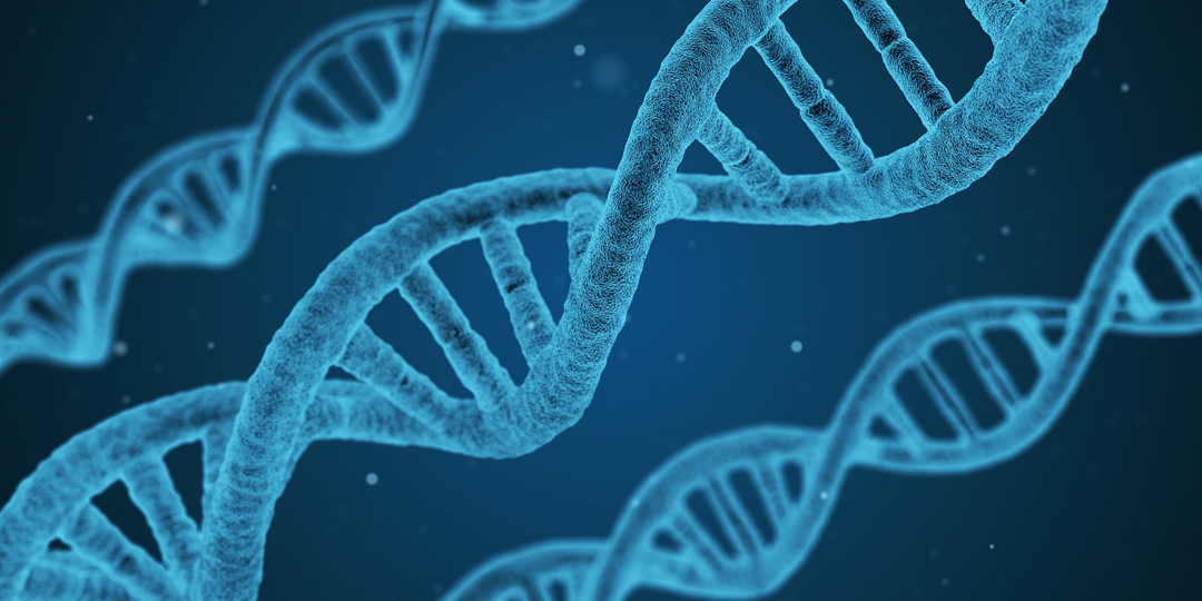 DNA