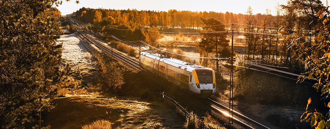 Rapportmall bild