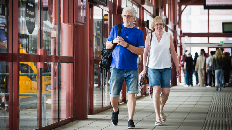 Sommarbiljett – senior, vuxen och student