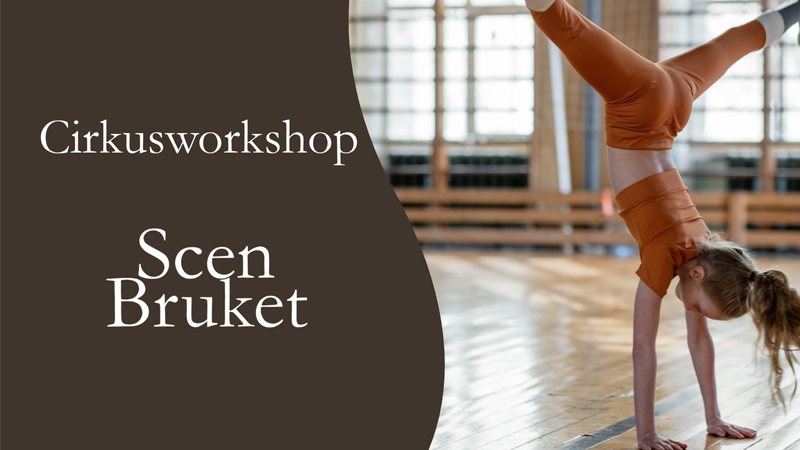 Cirkusworkshop – något för alla!