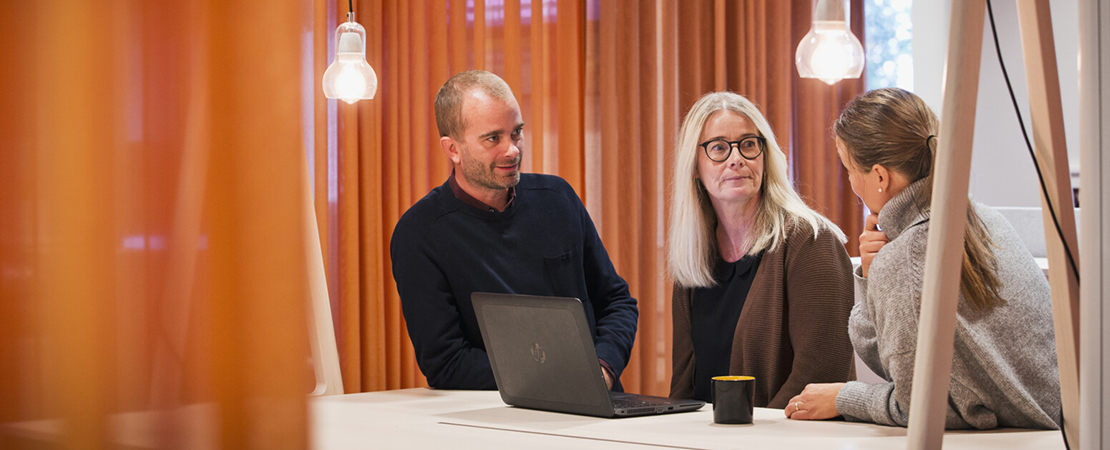 Rapportmall bild