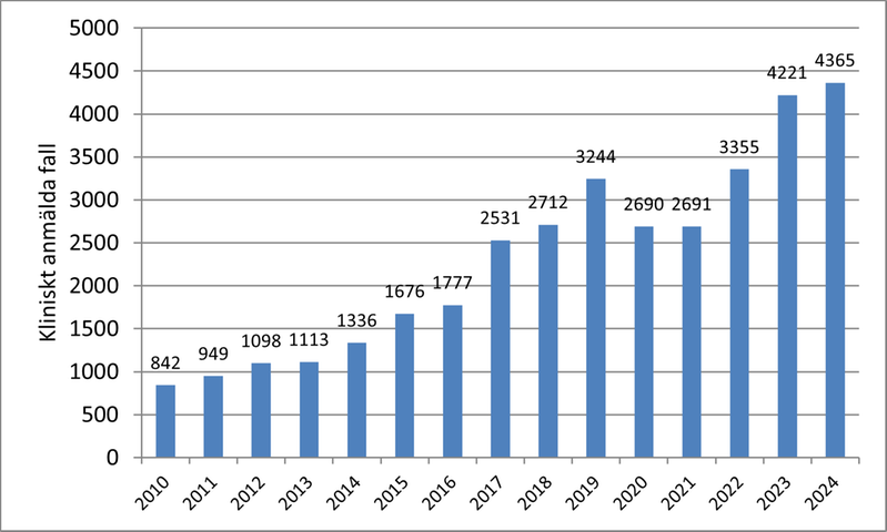 Diagram som visar antal fall av gonorré i Sverige per år 2010-2024.