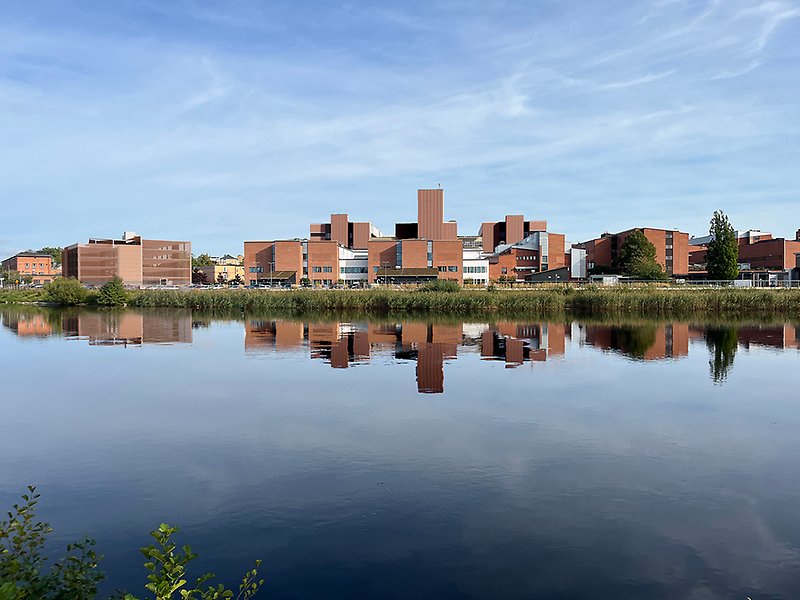 Visualisering av Nya CSKs västra sida, vy över älven