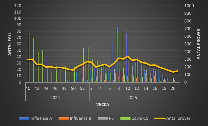Luftvägsvirus 2022-2023