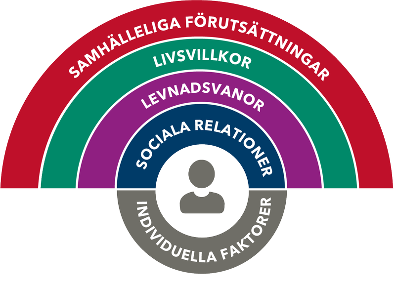 Illustration över hälsans bestämningsfaktorer. Text: Samhälleliga förutsättningar, livsvillkor, levnadsvanor, sociala relationer och individuella faktorer.