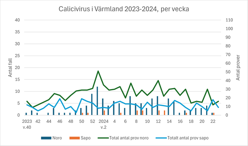 Diagram över antal fall av calici (vinterkräksjuka) i Värmland under säsongen 2023-2024.