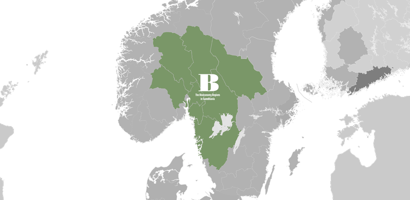 Bild på det gemensamma området inom projektet