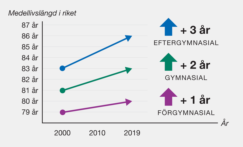 Diagram över medellivslängd i riket.