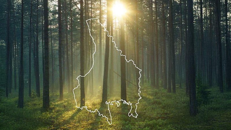 Värmlandskartan ovanpå en bild med skog som solen skiner genom.