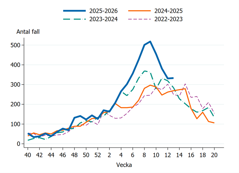 Fall av calicivirus i Sverige säsongen 2022-23, 2023-24, 2024-25 och 2025-26